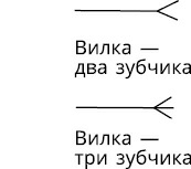 Иллюстрация к книге — Жизнь на ладони. Хиромантия как инструмент самопознания [i_065.jpg]