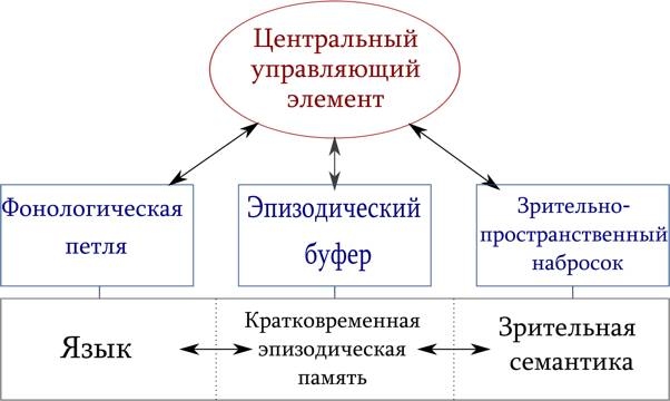 Иллюстрация к книге — Язык и мозг. Нейробиология раскрывает главную тайну человека [_32.jpg]