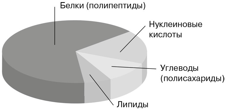 Биология для тех, кто хочет понять и простить самку богомола