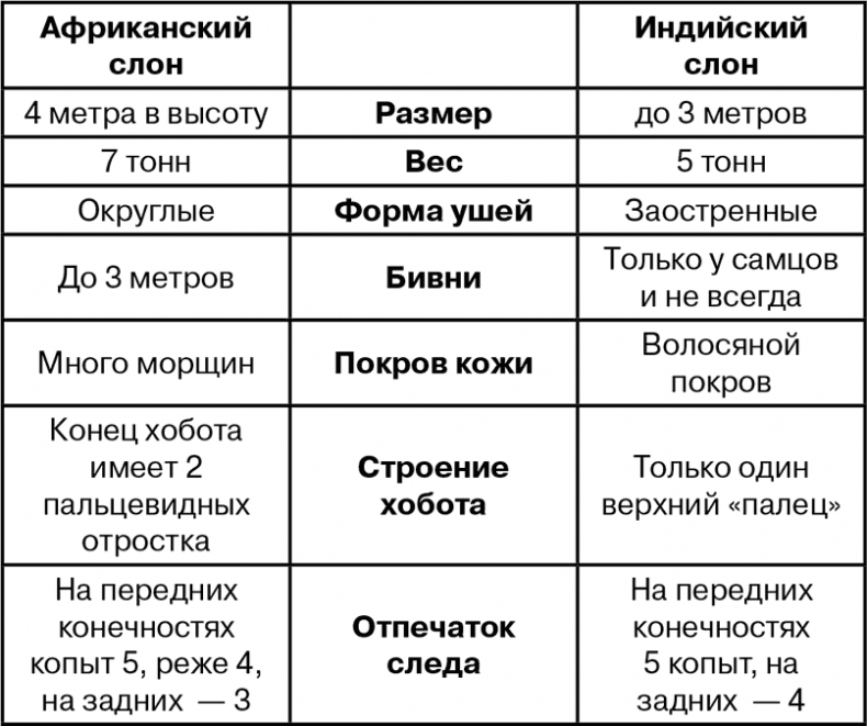 Биология для тех, кто хочет понять и простить самку богомола