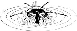 Иллюстрация к книге — О чём молчат рыбы. Путеводитель по жизни морских обитателей [i_067.jpg]