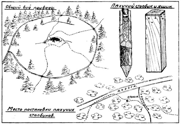 Иллюстрация к книге — Про тайгу и про охоту. Воспоминания, рекомендации, извлечения [image128_570a8725097fc805003a1c8a_jpg.jpg]