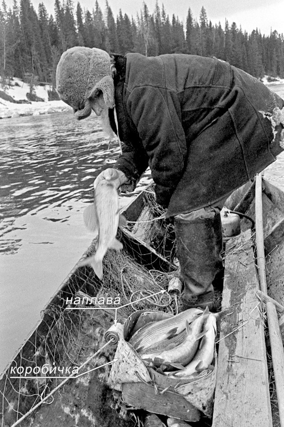 Иллюстрация к книге — Про тайгу и про охоту. Воспоминания, рекомендации, извлечения [image90_56ff87b699404c0500ba8678_jpg.jpg]