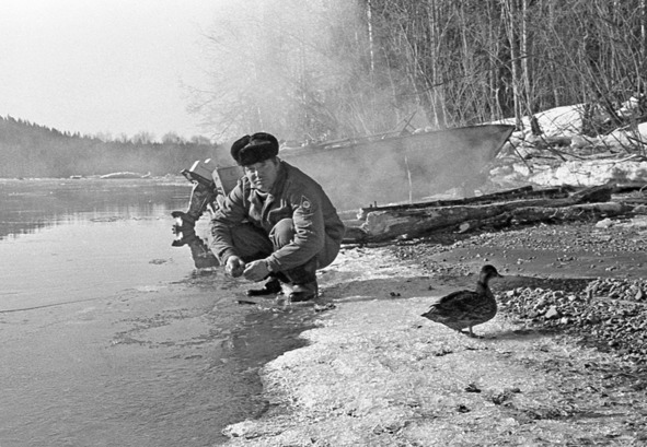 Иллюстрация к книге — Моя тропа. Очерки о природе [image13_56a52f95968e7b4f3663aa10_jpg.jpg]