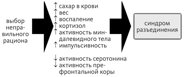Иллюстрация к книге — Промывка мозга. Программа для ясного мышления, укрепления отношений с людьми и развития полезных привычек [i_009.jpg]