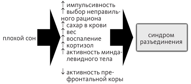 Иллюстрация к книге — Промывка мозга. Программа для ясного мышления, укрепления отношений с людьми и развития полезных привычек [i_012.jpg]