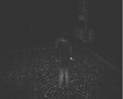Иллюстрация к книге — Silent Hill. Навстречу ужасу. Игры и теория страха [i_001.jpg]