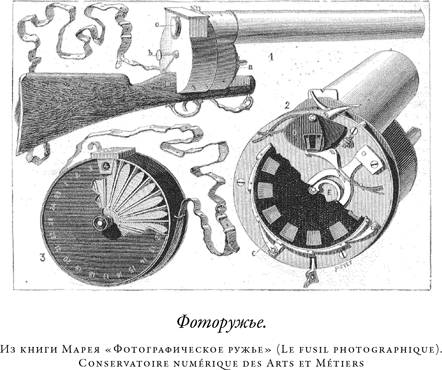 Иллюстрация к книге — Загадка падающей кошки и фундаментальная физика [i_016.jpg]