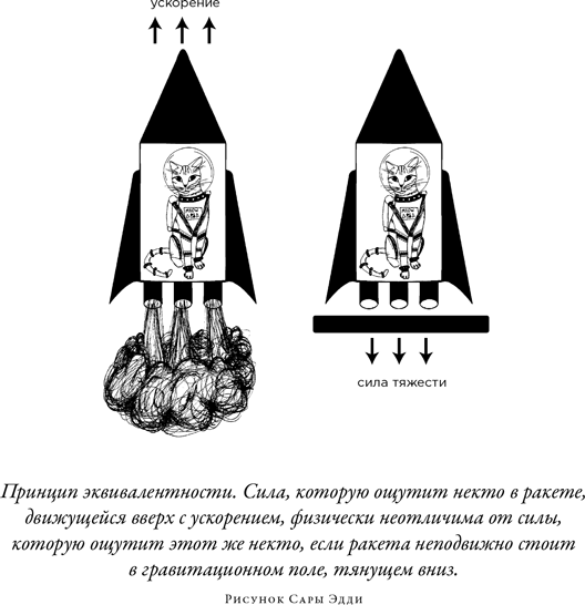 Иллюстрация к книге — Загадка падающей кошки и фундаментальная физика [i_034.jpg]