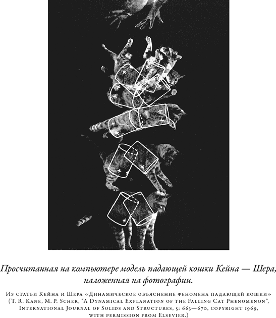 Иллюстрация к книге — Загадка падающей кошки и фундаментальная физика [i_049.jpg]