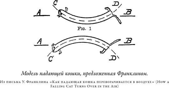 Иллюстрация к книге — Загадка падающей кошки и фундаментальная физика [i_063.jpg]