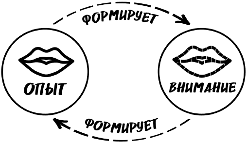 Иллюстрация к книге — Битва за внимание. Как быть услышанным в эпоху инфошума [i_036.jpg]