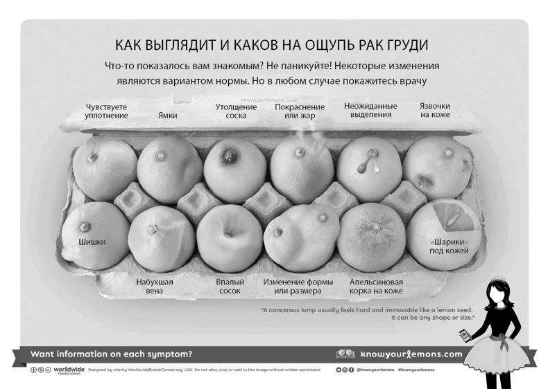 Иллюстрация к книге — Грудь. Руководство пользователя [i_002.jpg]