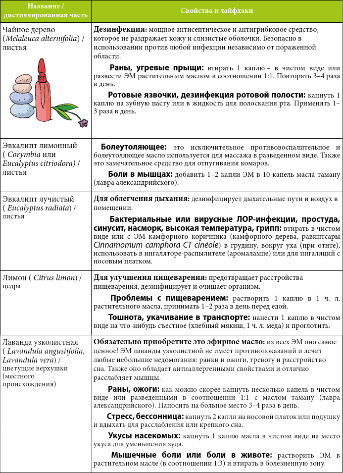 Иллюстрация к книге — Мой блокнот. Сила растений [i_048.jpg]