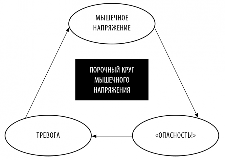 Без антидепрессантов! Избавься от стресса, тревоги и паники. «Включай» отличное настроение Без антидепрессантов! Избавься от стресса, тревоги и паники. «Включай» отличное настроение