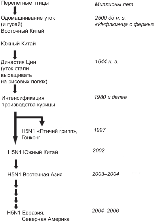 Иллюстрация к книге — Выжить в пандемию [i_009.jpg]