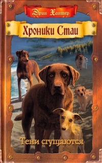Книга Тени сгущаются Книга Тени сгущаются
