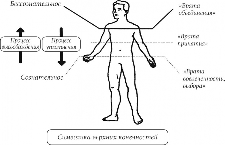 Иллюстрация к книге — О чем говорит боль [i_036.jpg]