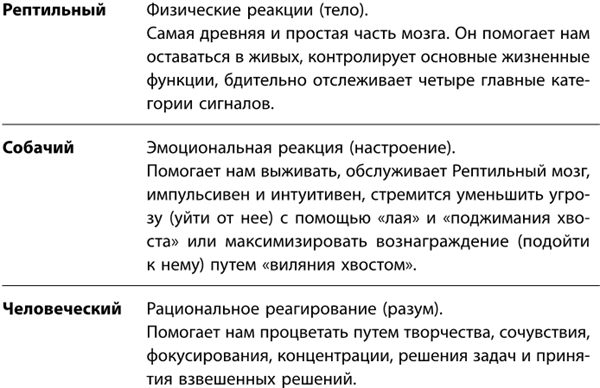 Иллюстрация к книге — Маленькие ритуалы для больших достижений. 4 простые привычки, которые сделают вас счастливым и эффективным [i_008.jpg]