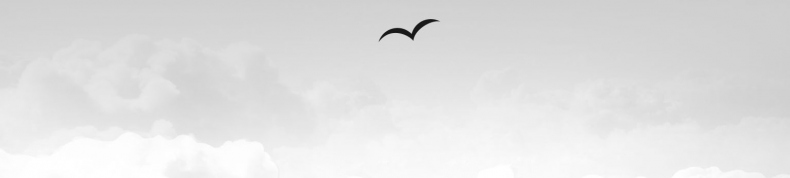 Иллюстрация к книге — Что скрывает прилив [i_009.jpg]