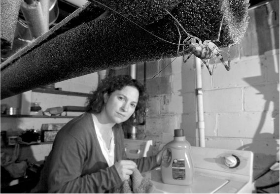 Иллюстрация к книге — Не один дома. Естественная история нашего жилища от бактерий до многоножек, тараканов и пауков [i_014.jpg]