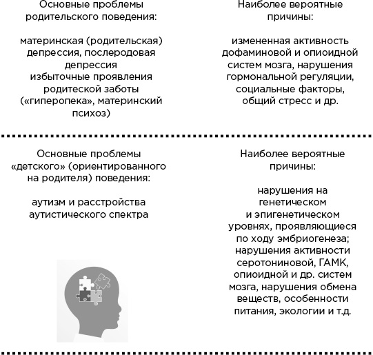 Иллюстрация к книге — Мозг и его потребности. От питания до признания [i_015.jpg]