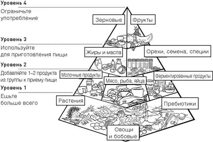 Иллюстрация к книге — Челюсти. Научное исследование о взаимосвязи между зубами, мозгом и кишечником + 40-дневный план питания, который поможет вернуть в норму здоровье ротовой полости и сформировать иммунитет к кариесу [i_042.jpg]