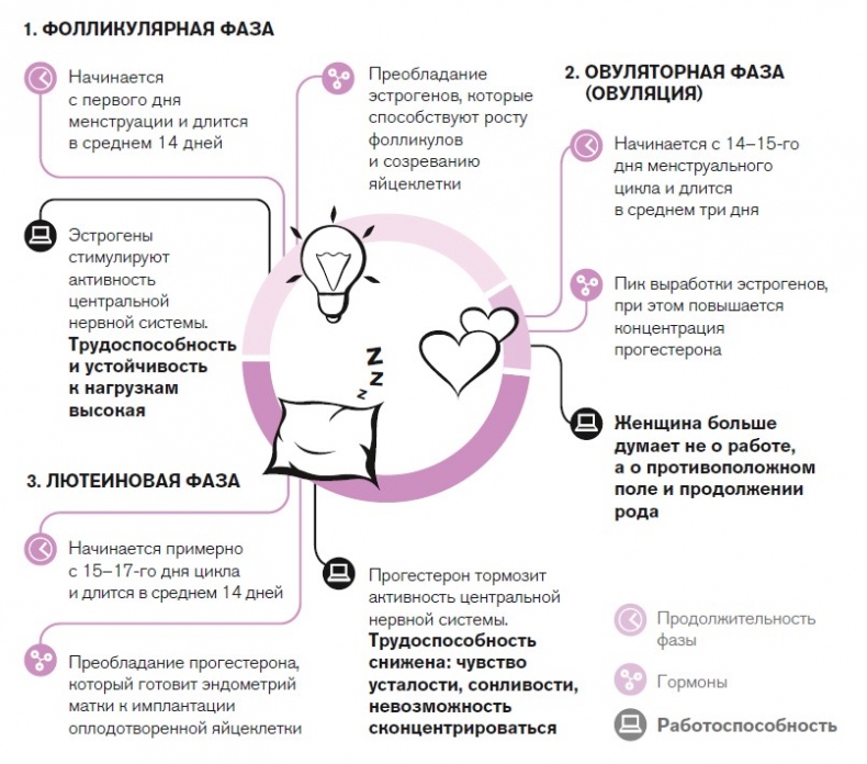 Иллюстрация к книге — Вся правда о гормонах. Секс, красота, здоровье, карьера [i_018.jpg]