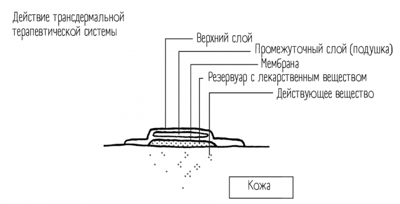 Иллюстрация к книге — Чем запить таблетку? Фармацевт о том, почему нельзя делить таблетки на части, хранить их на кухне и запивать всем подряд [i_013.jpg]