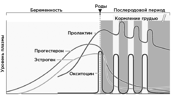 Иллюстрация к книге — Совесть. Происхождение нравственной интуиции [i_007.jpg]