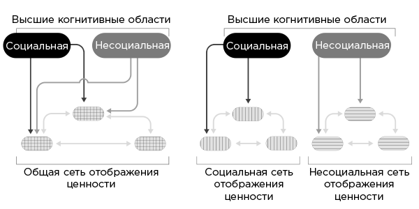 Иллюстрация к книге — Совесть. Происхождение нравственной интуиции [i_013.jpg]