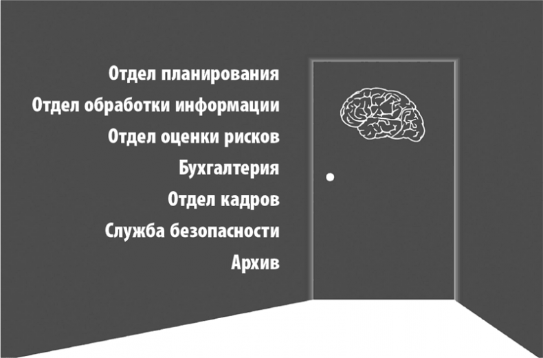 Иллюстрация к книге — Коучинг мозга. Как мы можем использовать знания о мозге, чтобы помочь себе развиваться [i_002.jpg]