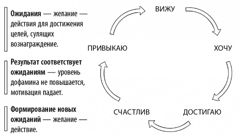 Иллюстрация к книге — Коучинг мозга. Как мы можем использовать знания о мозге, чтобы помочь себе развиваться [i_021.jpg]