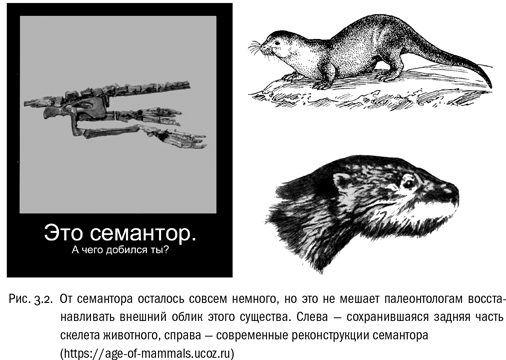 Иллюстрация к книге — Евангелие от LUCA. В поисках родословной животного мира [i_011.jpg]