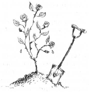 Иллюстрация к книге — Беспросветный Тупик [i_044.jpg]