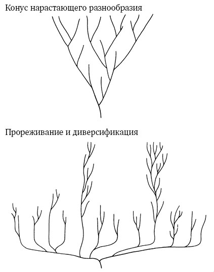 Иллюстрация к книге — Опасная идея Дарвина: Эволюция и смысл жизни [i_038.jpg]