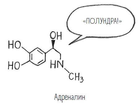Иллюстрация к книге — Комично, как все химично! Почему не стоит бояться фтора в зубной пасте, тефлона на сковороде, и думать о том, что телефон на зарядке взорвется [i_003.jpg]