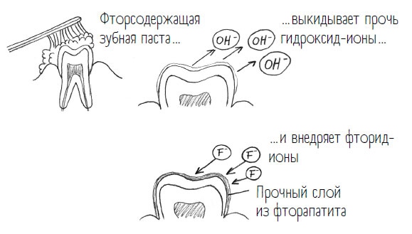Иллюстрация к книге — Комично, как все химично! Почему не стоит бояться фтора в зубной пасте, тефлона на сковороде, и думать о том, что телефон на зарядке взорвется [i_016.jpg]