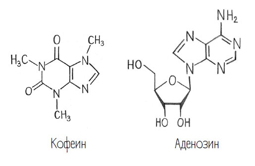 Иллюстрация к книге — Комично, как все химично! Почему не стоит бояться фтора в зубной пасте, тефлона на сковороде, и думать о том, что телефон на зарядке взорвется [i_045.jpg]