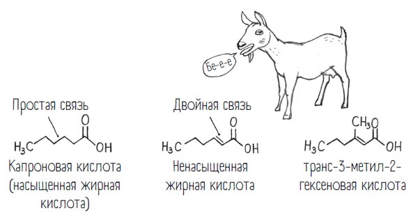 Иллюстрация к книге — Комично, как все химично! Почему не стоит бояться фтора в зубной пасте, тефлона на сковороде, и думать о том, что телефон на зарядке взорвется [i_051.jpg]