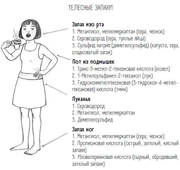Иллюстрация к книге — Комично, как все химично! Почему не стоит бояться фтора в зубной пасте, тефлона на сковороде, и думать о том, что телефон на зарядке взорвется [i_052.jpg]