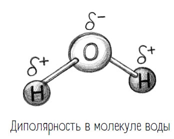 Иллюстрация к книге — Комично, как все химично! Почему не стоит бояться фтора в зубной пасте, тефлона на сковороде, и думать о том, что телефон на зарядке взорвется [i_059.jpg]