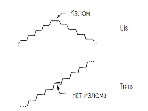 Иллюстрация к книге — Комично, как все химично! Почему не стоит бояться фтора в зубной пасте, тефлона на сковороде, и думать о том, что телефон на зарядке взорвется [i_068.jpg]