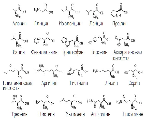 Иллюстрация к книге — Комично, как все химично! Почему не стоит бояться фтора в зубной пасте, тефлона на сковороде, и думать о том, что телефон на зарядке взорвется [i_076.jpg]