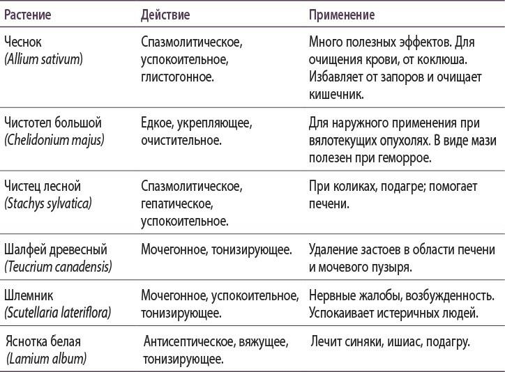 Иллюстрация к книге — Полная книга ведьмовства. Классический курс Викки [i_126.jpg]