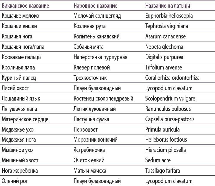 Иллюстрация к книге — Полная книга ведьмовства. Классический курс Викки [i_132.jpg]