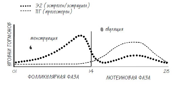 Иллюстрация к книге — Женское здоровье. Без стыда и глупостей [i_003.jpg]