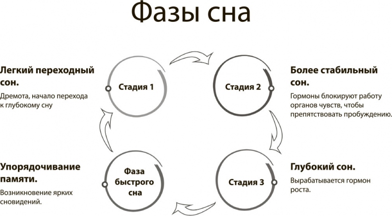 Иллюстрация к книге — Наш мозг в эпоху катаклизмов [i_024.jpg]