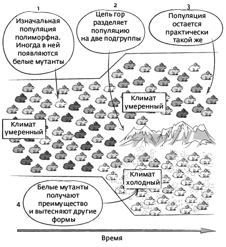 Иллюстрация к книге — Дарвин на отдыхе. Размышляем над теорией эволюции [i_011.jpg]