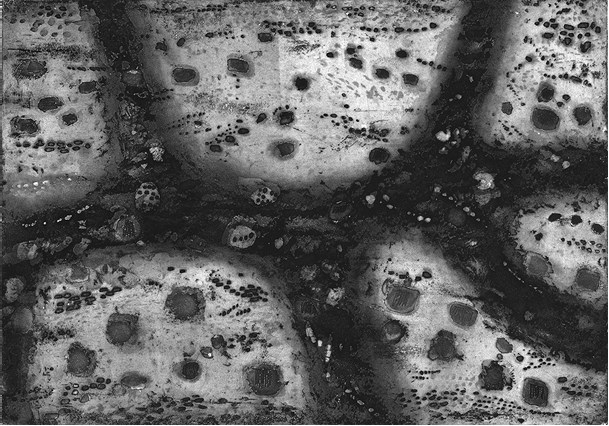 Иллюстрация к книге — Неудобное прошлое. Память о государственных преступлениях в России и других странах [i_070.jpg]